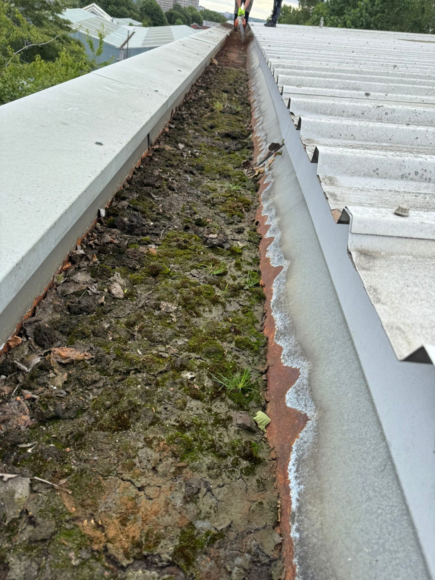 Blocked gutter with moss — before cleaning and replacement